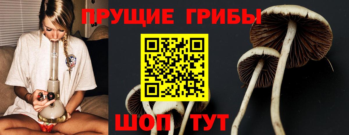 Качканар  Псилоцибиновые грибы Magic Shrooms  Вход с VPN  Галлюциногенные грибы Psilocybe 